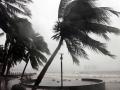 China renews alert for Typhoon Saola - Hindi News | China renews alert for Typhoon Saola | Latest international News at Lokmattimes.com