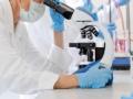Scientists finally complete genome sequencing of Y chromosome - Hindi News | Scientists finally complete genome sequencing of Y chromosome | Latest international News at Lokmattimes.com