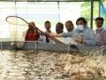 Kerala SC community reaps benefits of biofloc fish farming - Hindi News | Kerala SC community reaps benefits of biofloc fish farming | Latest national News at Lokmattimes.com