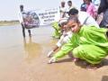 World Turtle Day: Hundreds of hatchlings released in Chambal - Hindi News | World Turtle Day: Hundreds of hatchlings released in Chambal | Latest national News at Lokmattimes.com