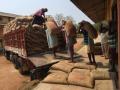 Paddy procurement from Oct 11 in interest of farmers, consumers: Govt - Hindi News | Paddy procurement from Oct 11 in interest of farmers, consumers: Govt | Latest politics News at Lokmattimes.com