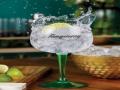 Millennials love their G&T - Hindi News | Millennials love their G&T | Latest lifestyle News at Lokmattimes.com