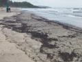Goa's golden beaches turn murky as tar balls surface on seashore - Hindi News | Goa's golden beaches turn murky as tar balls surface on seashore | Latest national News at Lokmattimes.com