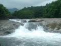 Reconsider Arunachal hydropower project, activists urge govt - Hindi News | Reconsider Arunachal hydropower project, activists urge govt | Latest politics News at Lokmattimes.com