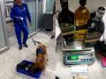 Tanzanian arrested for smuggling cocaine concealed in whiskey bottles - Hindi News | Tanzanian arrested for smuggling cocaine concealed in whiskey bottles | Latest national News at Lokmattimes.com