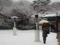Seoul logs coldest Oct morning in 67 years - Hindi News | Seoul logs coldest Oct morning in 67 years | Latest politics News at Lokmattimes.com
