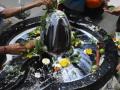 Special prayers on Shivratri for world peace - Hindi News | Special prayers on Shivratri for world peace | Latest national News at Lokmattimes.com