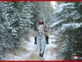 N. Korean leader Kim rides white horse on sacred mountain - Hindi News | N. Korean leader Kim rides white horse on sacred mountain | Latest international News at Lokmattimes.com