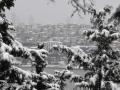 Heavy snowfall in Turkey disrupts flights, road traffic - Hindi News | Heavy snowfall in Turkey disrupts flights, road traffic | Latest politics News at Lokmattimes.com