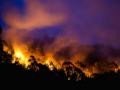Dangerous Australian arsonists to be tracked during bushfire season under new laws - Hindi News | Dangerous Australian arsonists to be tracked during bushfire season under new laws | Latest politics News at Lokmattimes.com
