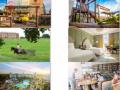 The Little Voyager - Hindi News | The Little Voyager | Latest lifestyle News at Lokmattimes.com