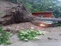 Landslide in Himachal Pradesh near Khalini road; no casualties reported - Hindi News | Landslide in Himachal Pradesh near Khalini road; no casualties reported | Latest national News at Lokmattimes.com