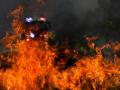 Bushfires in Western Australia threatens lives, properties - Hindi News | Bushfires in Western Australia threatens lives, properties | Latest politics News at Lokmattimes.com