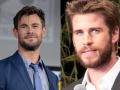 Chris Hemsworth playfully trolls brother Liam in new Instagram post - Hindi News | Chris Hemsworth playfully trolls brother Liam in new Instagram post | Latest entertainment News at Lokmattimes.com