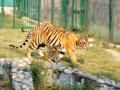 Central Zoo Authority gives approval for TN's fifth Zoo - Hindi News | Central Zoo Authority gives approval for TN's fifth Zoo | Latest national News at Lokmattimes.com