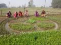 Mission Livelihood: 10 cr rural women working in 90 lakh self-help groups - Hindi News | Mission Livelihood: 10 cr rural women working in 90 lakh self-help groups | Latest health News at Lokmattimes.com
