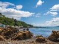 New Zealand uses satellite images to track coastal health - Hindi News | New Zealand uses satellite images to track coastal health | Latest international News at Lokmattimes.com