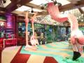 Giant flamingo stands out in jungle-themed 'Bigg Boss 15' house - Hindi News | Giant flamingo stands out in jungle-themed 'Bigg Boss 15' house | Latest entertainment News at Lokmattimes.com