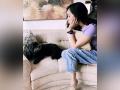 Shraddha Kapoor sends birthday wishes to her pet dog 'Shyloh' - Hindi News | Shraddha Kapoor sends birthday wishes to her pet dog 'Shyloh' | Latest maharashtra News at Lokmattimes.com