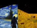 Van Gogh 360° - Hindi News | Van Gogh 360° | Latest lifestyle News at Lokmattimes.com