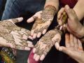 Chemical mehendi causes rashes, should be avoided - Hindi News | Chemical mehendi causes rashes, should be avoided | Latest national News at Lokmattimes.com