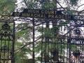 Expedite process to fill up 178 posts in prisons: Himachal HC - Hindi News | Expedite process to fill up 178 posts in prisons: Himachal HC | Latest politics News at Lokmattimes.com