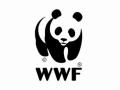 Need stronger policies for cleantech SMEs, startups: WWF India - Hindi News | Need stronger policies for cleantech SMEs, startups: WWF India | Latest business News at Lokmattimes.com