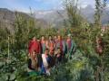 Himachal's women become agents for climate resilient farming - Hindi News | Himachal's women become agents for climate resilient farming | Latest international News at Lokmattimes.com