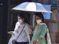 Deadly 2023 heatwave to become the norm in coming years: Study - Hindi News | Deadly 2023 heatwave to become the norm in coming years: Study | Latest international News at Lokmattimes.com