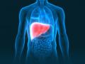 Gene therapy offers potential new treatment for liver cancer - Hindi News | Gene therapy offers potential new treatment for liver cancer | Latest international News at Lokmattimes.com
