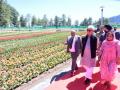 L-G inaugurates Jammu's first Tulip Garden at Sanasar - Hindi News | L-G inaugurates Jammu's first Tulip Garden at Sanasar | Latest politics News at Lokmattimes.com