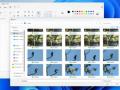 Microsoft introduces 'Gallery' to File Explorer in Windows - Hindi News | Microsoft introduces 'Gallery' to File Explorer in Windows | Latest technology News at Lokmattimes.com