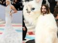 Jared Leto, Doja Cat unleash inner feline in paw-erful Met Gala appearances - Hindi News | Jared Leto, Doja Cat unleash inner feline in paw-erful Met Gala appearances | Latest entertainment News at Lokmattimes.com