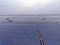 India's largest floating solar power project becomes operational in T'gana - Hindi News | India's largest floating solar power project becomes operational in T'gana | Latest international News at Lokmattimes.com