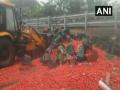 Truck full of tomatoes overturns on Eastern Express Highway in Maharashtra's Thane, 1 injured - Hindi News | Truck full of tomatoes overturns on Eastern Express Highway in Maharashtra's Thane, 1 injured | Latest maharashtra News at Lokmattimes.com