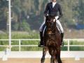 National Dressage Freestyle: Ariana, Gaurav, Moksh top the charts on the final day - Hindi News | National Dressage Freestyle: Ariana, Gaurav, Moksh top the charts on the final day | Latest maharashtra News at Lokmattimes.com