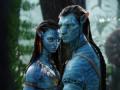 'Avatar: The Way of Water' earns $855 million globally in 10 days - Hindi News | 'Avatar: The Way of Water' earns $855 million globally in 10 days | Latest entertainment News at Lokmattimes.com