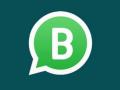WhatsApp Business hits 50mn users globally, 15mn in India - Hindi News | WhatsApp Business hits 50mn users globally, 15mn in India | Latest technology News at Lokmattimes.com