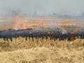 PIL in SC seeks ban on stubble burning in view of Covid-19 - Hindi News | PIL in SC seeks ban on stubble burning in view of Covid-19 | Latest health News at Lokmattimes.com