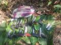 Cache of arms, ammunition recovered in Manipur - Hindi News | Cache of arms, ammunition recovered in Manipur | Latest national News at Lokmattimes.com