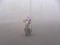 IMD reports zero-metre visibility at Delhi's Palam - Hindi News | IMD reports zero-metre visibility at Delhi's Palam | Latest national News at Lokmattimes.com