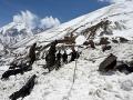 7 Army personnel die after being hit by avalanche in Arunachal Pradesh - Hindi News | 7 Army personnel die after being hit by avalanche in Arunachal Pradesh | Latest national News at Lokmattimes.com