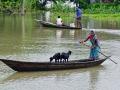 Fresh floods in Assam affect over 1.90 lakh people - Hindi News | Fresh floods in Assam affect over 1.90 lakh people | Latest national News at Lokmattimes.com