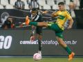 Botafogo stumble in Brazilian Serie A title race - Hindi News | Botafogo stumble in Brazilian Serie A title race | Latest football News at Lokmattimes.com