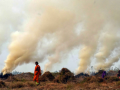 Consider arrests, strict action to curb stubble burning: SC to govt - Hindi News | Consider arrests, strict action to curb stubble burning: SC to govt | Latest national News at Lokmattimes.com