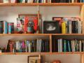 New Book Launch - Hindi News | New Book Launch | Latest lifestyle News at Lokmattimes.com