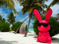 Plan your last-minute holiday - Hindi News | Plan your last-minute holiday | Latest lifestyle News at Lokmattimes.com