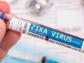 Centre formulates action plan for managing Zika Virus disease - Hindi News | Centre formulates action plan for managing Zika Virus disease | Latest health News at Lokmattimes.com