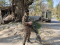 Jammu and Kashmir: Encounter Breaks Out Between Security Forces, Militants in Pulwama (Check out) - Hindi News | Jammu and Kashmir: Encounter Breaks Out Between Security Forces, Militants in Pulwama (Check out) | Latest national News at Lokmattimes.com