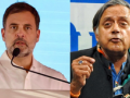 Kerala Lok Sabha Election Results 2024: Congress Rahul Gandhi, Shashi Tharoor Lead In Postal Ballots In Kerala - Hindi News | Kerala Lok Sabha Election Results 2024: Congress Rahul Gandhi, Shashi Tharoor Lead In Postal Ballots In Kerala | Latest national News at Lokmattimes.com